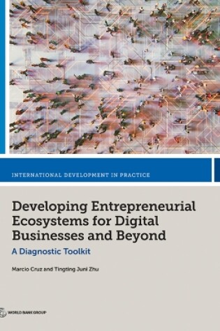 Cover of Developing Entrepreneurial Ecosystems for Digital Businesses and Beyond