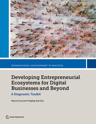 Book cover for Developing Entrepreneurial Ecosystems for Digital Businesses and Beyond