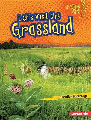 Book cover for Let's Visit the Grassland