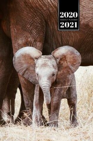 Cover of Elephant Mammoth Week Planner Weekly Organizer Calendar 2020 / 2021 - Sweet Baby
