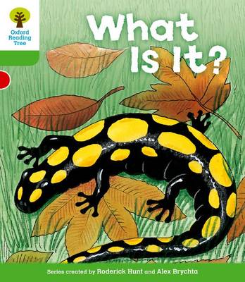 Cover of Oxford Reading Tree: Level 2: More Patterned Stories A: What Is It?