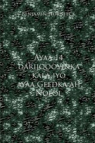 Cover of Ayaa 14 Dariiqooyinka Kala Iyo Ayaa Geedka Ah Nolol