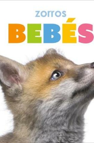 Cover of Zorros Bebés