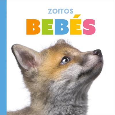 Book cover for Zorros Bebés