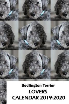 Book cover for Bedlington Terrier Lovers Calendar 2019-2020