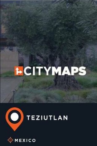 Cover of City Maps Teziutlan Mexico