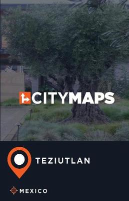 Book cover for City Maps Teziutlan Mexico