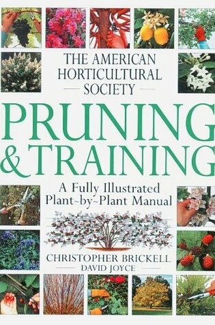 Cover of Pruning & Training