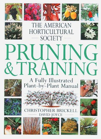 Book cover for Pruning & Training