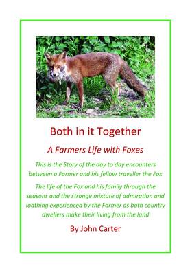 Book cover for Both in it Together