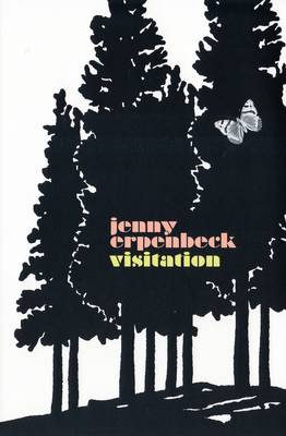 Book cover for Visitation