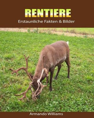 Book cover for Rentiere