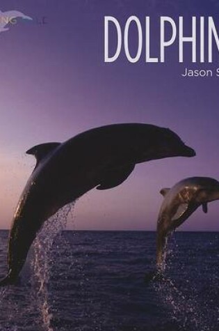 Cover of Dolphins