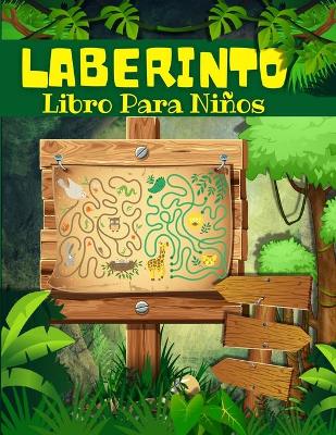 Book cover for Laberinto Libro Para Niños Y Niñas