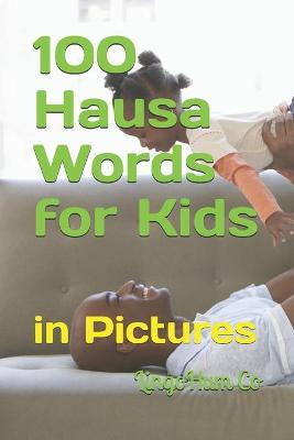 Book cover for 100 Hausa Words for Kids