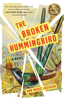 Book cover for The Broken Hummingbird