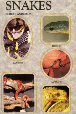 Cover of Step-by-step Book About Snakes