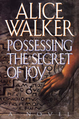 Book cover for Possessing the Secret of Joy.