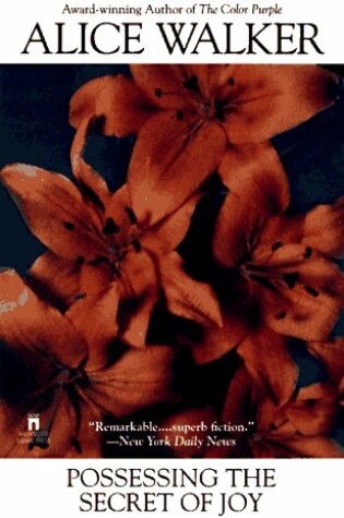 Cover of Possessing the Secret of Joy