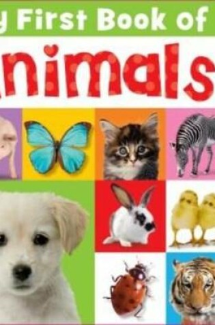 Cover of My First Book of Animals Tabbed Book