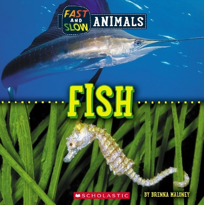 Cover of Fish (Wild World: Fast and Slow Animals)