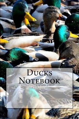 Book cover for Ducks Notebook