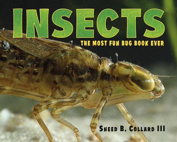 Book cover for Insects