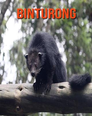 Book cover for Binturong