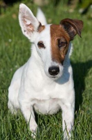 Cover of Fox Terrier Dog Journal