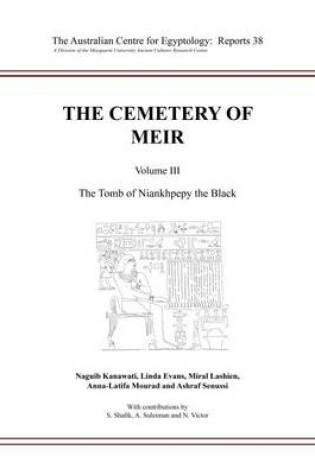 Cover of The Cemetery of Meir III