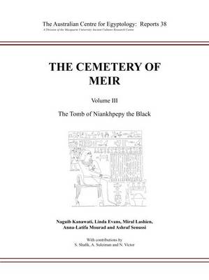 Book cover for The Cemetery of Meir III