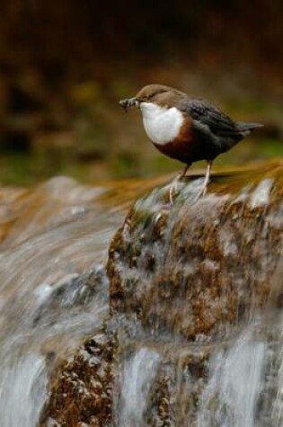 Cover of White-Throated Dipper (Cinclus Cinclus) Bird Journal