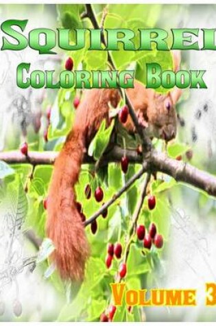 Cover of Squirrel Coloring Books Vol.3 for Relaxation Meditation Blessing