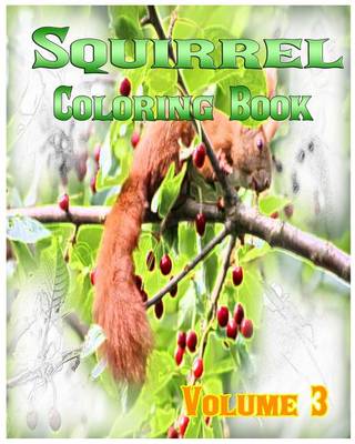 Book cover for Squirrel Coloring Books Vol.3 for Relaxation Meditation Blessing