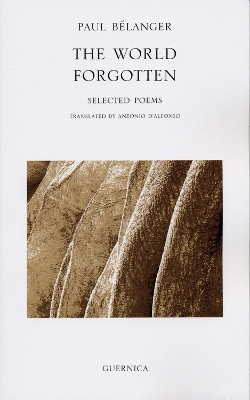 Book cover for World Forgotten