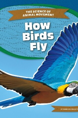 Cover of How Birds Fly