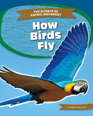 Book cover for How Birds Fly