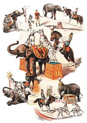 Cover of Carnet Ligné Animaux Dressés, Cirque