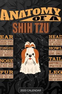 Book cover for Anatomy Of A Shih Tzu