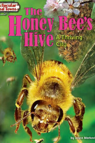 Cover of The Honey Bee's Hive