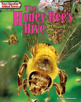 Book cover for The Honey Bee's Hive