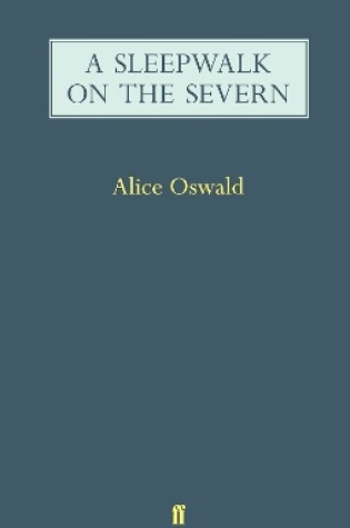 Cover of A Sleepwalk on the Severn
