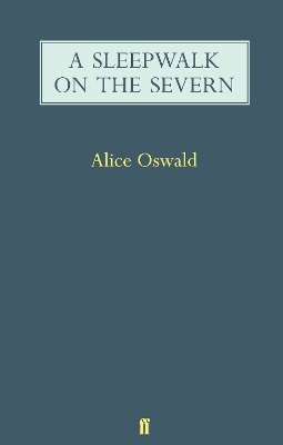 Book cover for A Sleepwalk on the Severn