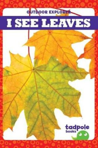 Cover of I See Leaves