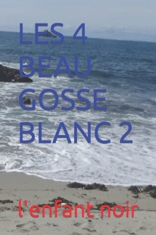 Cover of Les 4 Beau Gosse Blanc 2