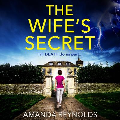 Book cover for The Wife's Secret