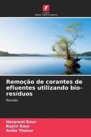 Cover of Remoção de corantes de efluentes utilizando bio-resíduos