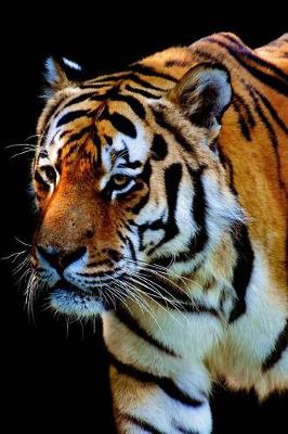 Book cover for A Tiger Isolated on a Black Background Journal