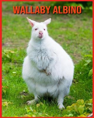 Book cover for Wallaby Albino