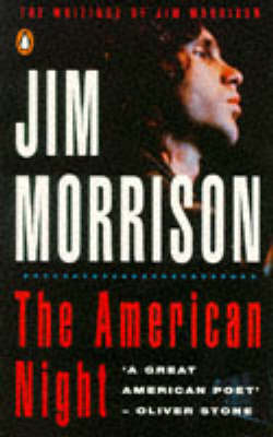 Book cover for The American Night